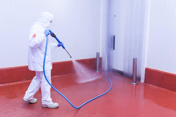 Best Spring Cleaning  in Sleepy Hollow, NY